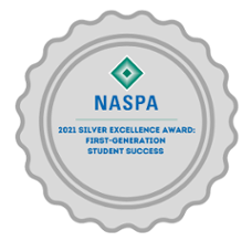 Silver Excellence Award